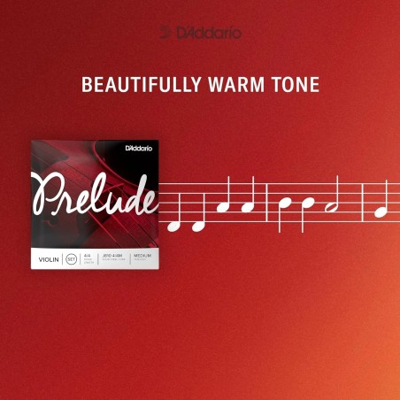 D'Addario J810 3/4M Prelude
