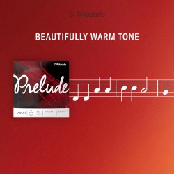 D'Addario J812 4/4M (LA) Prelude