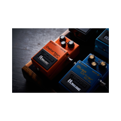 BOSS DS-1W Distortion