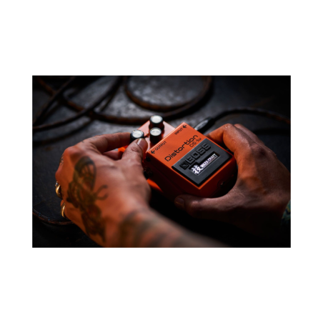 BOSS DS-1W Distortion