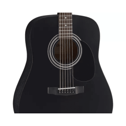 Cort Standard AD810 Black Satin + Bag