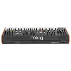 Moog Muse
