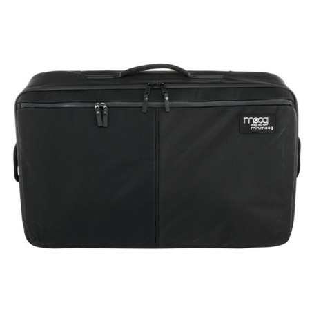Moog Model D SR Case
