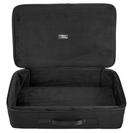 Moog Model D SR Case