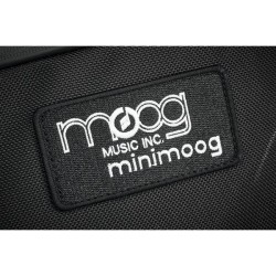 Moog Model D SR Case
