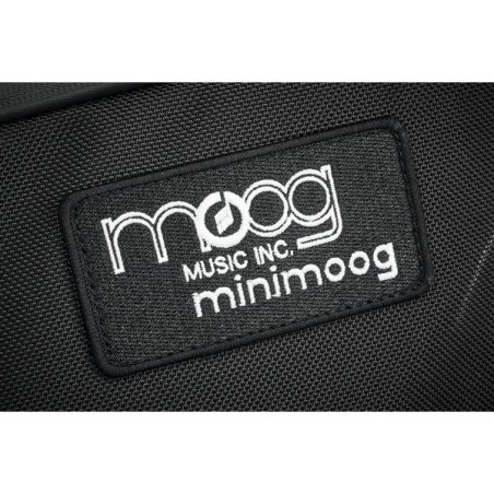 Moog Model D SR Case