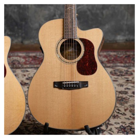 Cort Gold-OC6 Bocote Natural Gloss + Bag