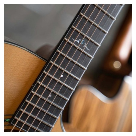 Cort Gold-OC6 Bocote Natural Gloss + Bag