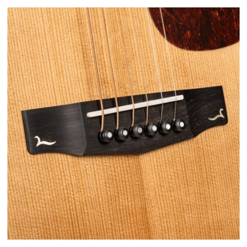 Cort Gold-A8 Natural Gloss