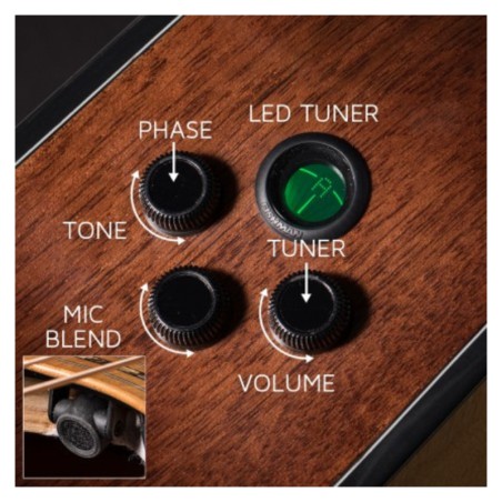 Cort Gold-A8 Natural Gloss