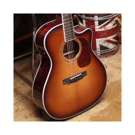 Cort Gold-A8 LB