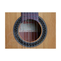 Alhambra 1C-HT Hybrid Terra
