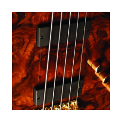 Cort Jeff Berlin Rithimic V Natural Gloss