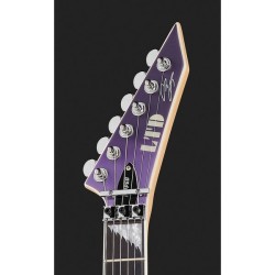 LTD Alexi Ripped Sawtooth Purple Fade Satin w/ Pinstripes