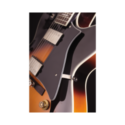 Cort Yorktown Tobacco Burst + Bag