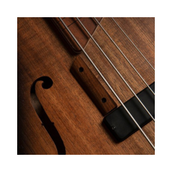Cort Artisan B4FL MHPZ Open Pore Trans Black