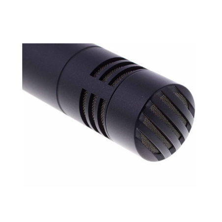 AKG P170