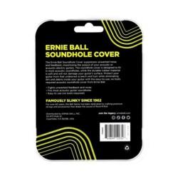 Ernie Ball 9618