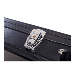 Epiphone Case Thunderbird
