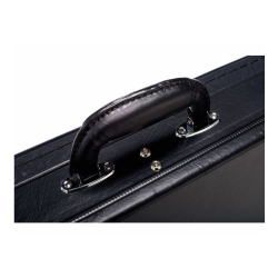 Epiphone Case Thunderbird
