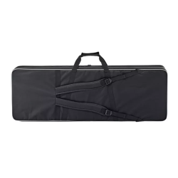 Epiphone Explorer EpiLite Case