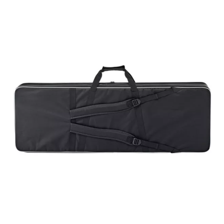 Epiphone Explorer EpiLite Case