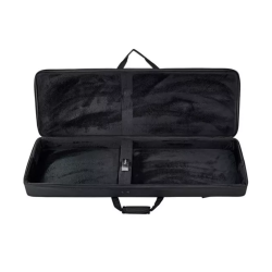 Epiphone Explorer EpiLite Case