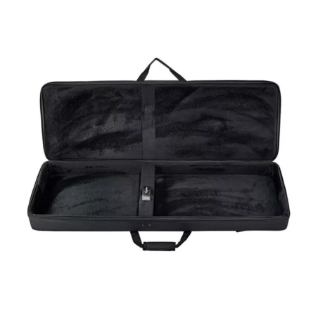 Epiphone Explorer EpiLite Case