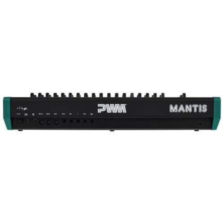 PWM Synth Mantis