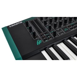 PWM Synth Mantis