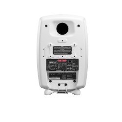 Genelec 8010AW