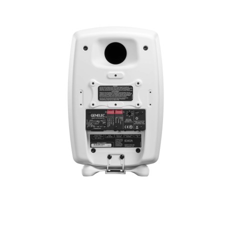 Genelec 8010AW