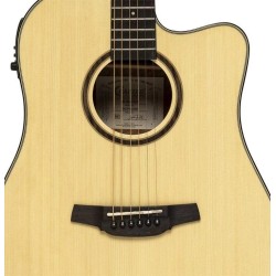 Crafter HD-250CE/N