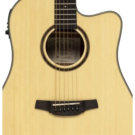 Crafter HD-250CE/N