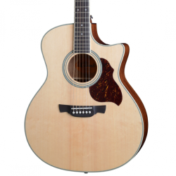 Crafter GAE 6/N