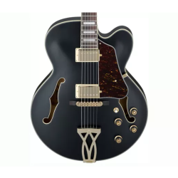 Ibanez AF75G-BKF