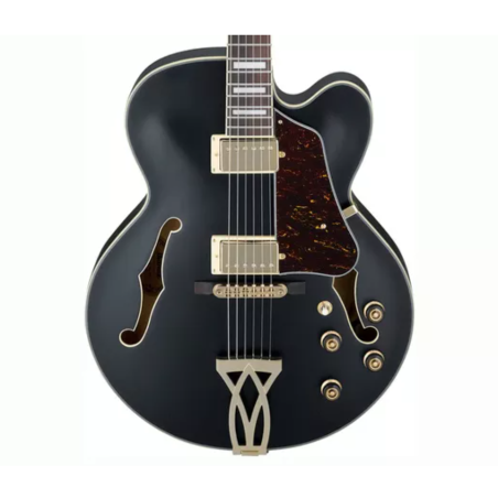 Ibanez AF75G-BKF