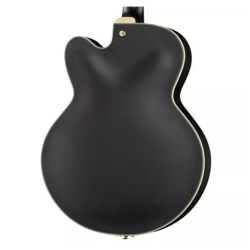 Ibanez AF75G-BKF