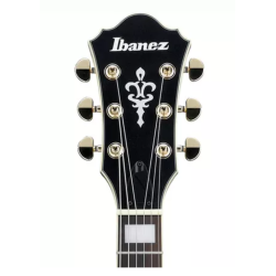 Ibanez AF75G-BKF