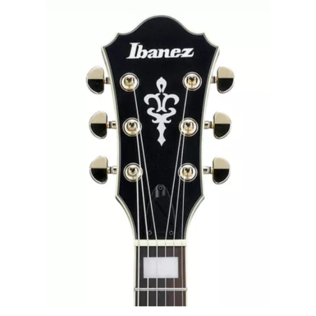 Ibanez AF75G-BKF