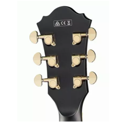 Ibanez AF75G-BKF