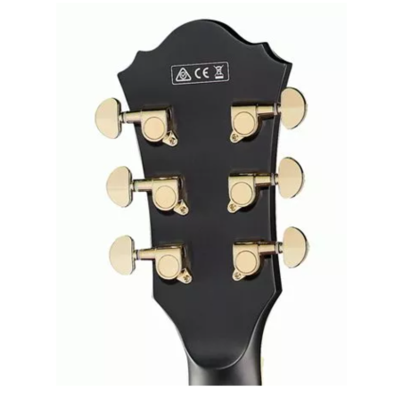 Ibanez AF75G-BKF