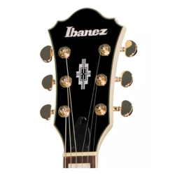 Ibanez AF75TDG Ivory