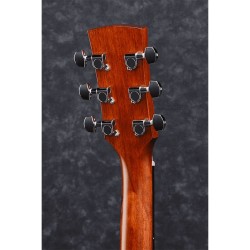 Ibanez AW65-LG