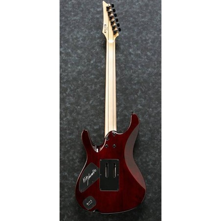 Ibanez KIKO10BP-TGB Transparent Gray Burst