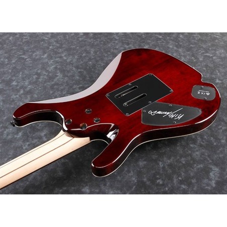Ibanez KIKO10BP-TGB Transparent Gray Burst