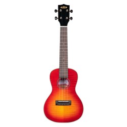Ukulele Concerto