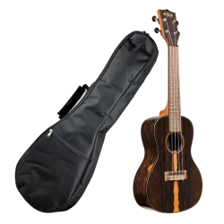 Kala KA-ZCT-C Ukulele Concerto Ziricote C/borsa