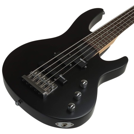 LTD B-15 Black Satin