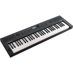 Roland GO:KEYS-5-GT